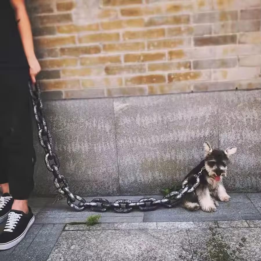 Simulated Iron Chain Dog with Dog Chain Traction Rope Dog Rope Funny Outdoor Plastic Thick Chain